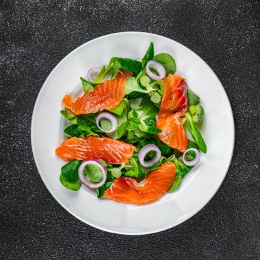 Salata somonu aperatifi masaya yemek abur cubur fotokopisi uzay yemeği arka plan kırsal üst görüş keto veya paleo diyet vejetaryen gıda