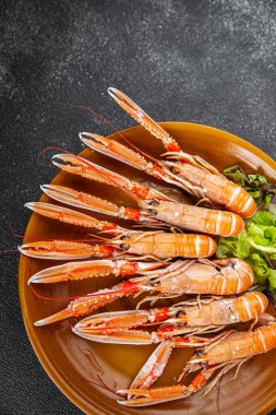 Langoustine deniz ürünleri karidesleri masada taze yemek atıştırmalıkları fotokopi uzay yiyecekleri arka plan kırsal manzarası