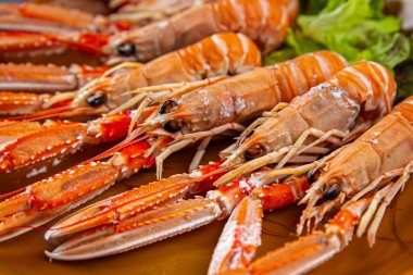 Langoustine deniz ürünleri karidesleri masada taze yemek atıştırmalıkları fotokopi uzay yiyecekleri arka plan kırsal manzarası