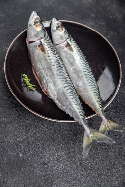 Çiğ uskumru çiğ balık taze deniz ürünleri. Masanın üzerinde taze yemek. Fotokopi.