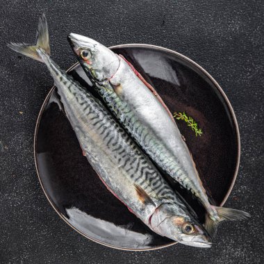 Çiğ uskumru çiğ balık taze deniz ürünleri. Masanın üzerinde taze yemek. Fotokopi.