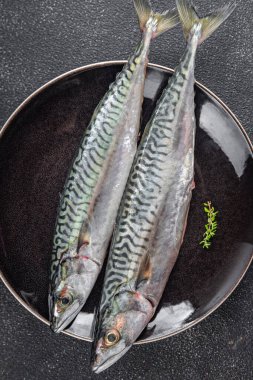 Çiğ uskumru çiğ balık taze deniz ürünleri. Masanın üzerinde taze yemek. Fotokopi.