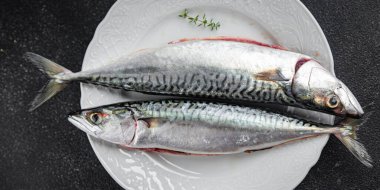Çiğ uskumru çiğ balık taze deniz ürünleri. Masanın üzerinde taze yemek. Fotokopi.
