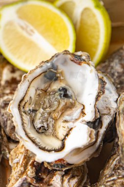 İstiridye taze deniz ürünleri lezzetli yemek taze lezzetli gurme yemek arka planı masa rustik gıda üst görünüm fotokopi alanı pezetarizm diyeti