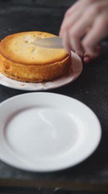 Peynirli tart tatlı peynirli tart taze lezzetli yemekler gurme yemek arka planı masa rustik yiyeceklerin üst görüntüsü fotokopi alanı