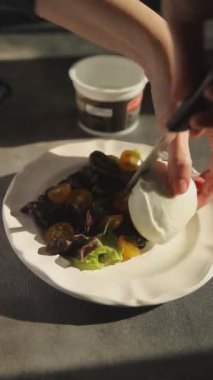 Burrata salatası yeşil yapraklar, domatesler, peynirli burratina sağlıklı yemek atıştırmalıkları fotokopi masasında uzay yiyecekleri arka plan kırsal manzarası