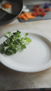 Kızarmış yumurta sarısı ve protein, domates, peynir, hazır kahvaltı taze lezzetli yemekler lezzetli gurme yemek arkaplan masa üzerinde rustik yemek üst görünüm fotokopi alanı keto ve paleo diyeti