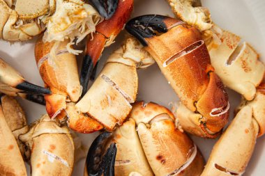 Yengeç pençesi, yemek, deniz ürünleri, lezzetli yemekler, gurme yemek, masa üstü yemekleri, fotokopi alanı, vejetaryen diyeti.