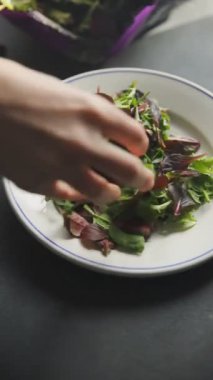 Sağlıklı salata yaprakları karışık salata sulu çerez sebzeler, roka, marul, meşe yaprağı, yeşil yaprak salatası taze yemek arkaplanı masadaki kırsal yiyecekler üst görünüm vejetaryen ve vejetaryen