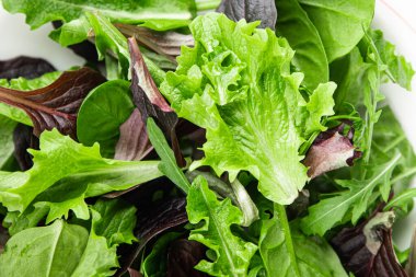 Sağlıklı salata yaprakları karışık salata sulu çerez sebzeler, roka, marul, meşe yaprağı, yeşil yaprak salatası taze yemek arkaplanı masadaki kırsal yiyecekler üst görünüm vejetaryen ve vejetaryen