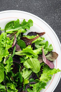 Sağlıklı salata yaprakları karışık salata sulu çerez sebzeler, roka, marul, meşe yaprağı, yeşil yaprak salatası taze yemek arkaplanı masadaki kırsal yiyecekler üst görünüm vejetaryen ve vejetaryen