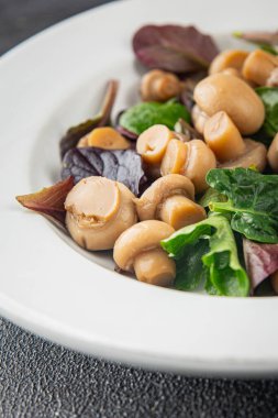 Şampiyon salatası yeşil marul konserve mantar taze gurme yemek arkaplan masa üzerinde rustik gıda üst görünüm fotokopi uzay keto ve paleo diyet vejetaryen ve vegan gıda