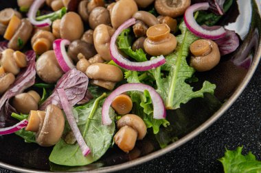 Şampiyon salatası yeşil marul konserve mantar taze gurme yemek arkaplan masa üzerinde rustik gıda üst görünüm fotokopi uzay keto ve paleo diyet vejetaryen ve vegan gıda