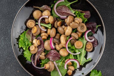 Şampiyon salatası yeşil marul konserve mantar taze gurme yemek arkaplan masa üzerinde rustik gıda üst görünüm fotokopi uzay keto ve paleo diyet vejetaryen ve vegan gıda