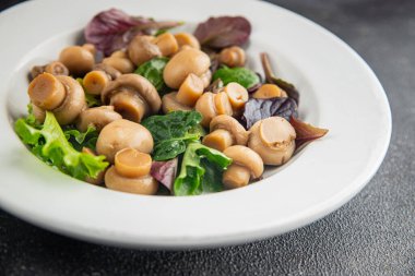 Şampiyon salatası yeşil marul konserve mantar taze gurme yemek arkaplan masa üzerinde rustik gıda üst görünüm fotokopi uzay keto ve paleo diyet vejetaryen ve vegan gıda