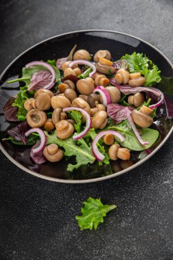 Şampiyon salatası yeşil marul konserve mantar taze gurme yemek arkaplan masa üzerinde rustik gıda üst görünüm fotokopi uzay keto ve paleo diyet vejetaryen ve vegan gıda