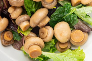 Şampiyon salatası yeşil marul konserve mantar taze gurme yemek arkaplan masa üzerinde rustik gıda üst görünüm fotokopi uzay keto ve paleo diyet vejetaryen ve vegan gıda