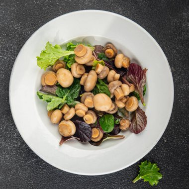 Şampiyon salatası yeşil marul konserve mantar taze gurme yemek arkaplan masa üzerinde rustik gıda üst görünüm fotokopi uzay keto ve paleo diyet vejetaryen ve vegan gıda