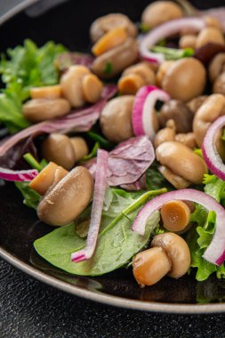 Şampiyon salatası yeşil marul konserve mantar taze gurme yemek arkaplan masa üzerinde rustik gıda üst görünüm fotokopi uzay keto ve paleo diyet vejetaryen ve vegan gıda