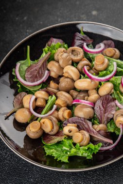 Şampiyon salatası yeşil marul konserve mantar taze gurme yemek arkaplan masa üzerinde rustik gıda üst görünüm fotokopi uzay keto ve paleo diyet vejetaryen ve vegan gıda