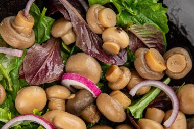 Şampiyon salatası yeşil marul konserve mantar taze gurme yemek arkaplan masa üzerinde rustik gıda üst görünüm fotokopi uzay keto ve paleo diyet vejetaryen ve vegan gıda