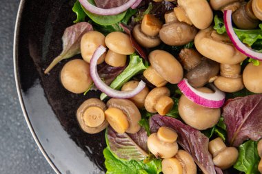 Şampiyon salatası yeşil marul konserve mantar taze gurme yemek arkaplan masa üzerinde rustik gıda üst görünüm fotokopi uzay keto ve paleo diyet vejetaryen ve vegan gıda