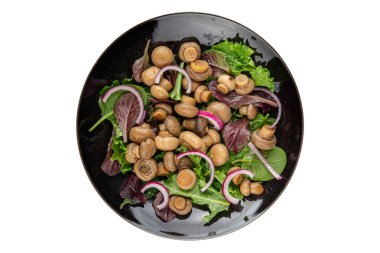 Şampiyon salatası yeşil marul konserve mantar taze gurme yemek arkaplan masa üzerinde rustik gıda üst görünüm fotokopi uzay keto ve paleo diyet vejetaryen ve vegan gıda