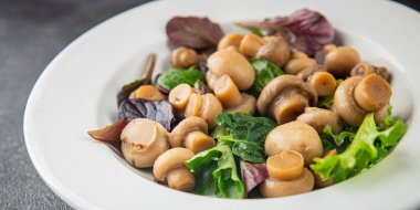 Şampiyon salatası yeşil marul konserve mantar taze gurme yemek arkaplan masa üzerinde rustik gıda üst görünüm fotokopi uzay keto ve paleo diyet vejetaryen ve vegan gıda