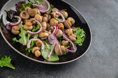 Şampiyon salatası yeşil marul konserve mantar taze gurme yemek arkaplan masa üzerinde rustik gıda üst görünüm fotokopi uzay keto ve paleo diyet vejetaryen ve vegan gıda