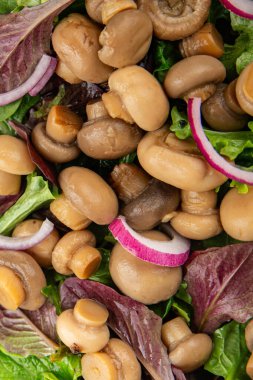 Şampiyon salatası yeşil marul konserve mantar taze gurme yemek arkaplan masa üzerinde rustik gıda üst görünüm fotokopi uzay keto ve paleo diyet vejetaryen ve vegan gıda