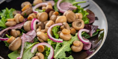 Şampiyon salatası yeşil marul konserve mantar taze gurme yemek arkaplan masa üzerinde rustik gıda üst görünüm fotokopi uzay keto ve paleo diyet vejetaryen ve vegan gıda