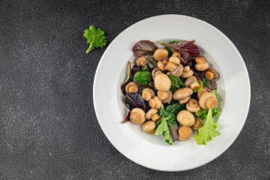 Şampiyon salatası yeşil marul konserve mantar taze gurme yemek arkaplan masa üzerinde rustik gıda üst görünüm fotokopi uzay keto ve paleo diyet vejetaryen ve vegan gıda