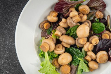 Şampiyon salatası yeşil marul konserve mantar taze gurme yemek arkaplan masa üzerinde rustik gıda üst görünüm fotokopi uzay keto ve paleo diyet vejetaryen ve vegan gıda