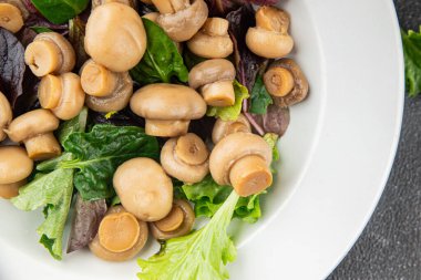 Şampiyon salatası yeşil marul konserve mantar taze gurme yemek arkaplan masa üzerinde rustik gıda üst görünüm fotokopi uzay keto ve paleo diyet vejetaryen ve vegan gıda