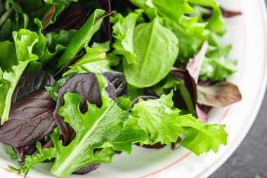 Taze salata yaprakları karışık salata sulu sağlıklı atıştırmalık sebzeler, roka, marul, meşe yaprağı, yeşil yaprak salatası lezzetli yemek arkaplanı masa kırsal gıdalar üst görünüm vejetaryen ve vejetaryen