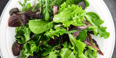 Taze salata yaprakları karışık salata sulu sağlıklı atıştırmalık sebzeler, roka, marul, meşe yaprağı, yeşil yaprak salatası lezzetli yemek arkaplanı masa kırsal gıdalar üst görünüm vejetaryen ve vejetaryen