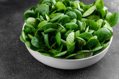 Mung fasulyesi salata yeşil sebzeler taze lezzetli gurme yemek arkaplan masa rustik gıda fotokopi alanı keto ve paleo diyet vejetaryen ve vejetaryen gıda