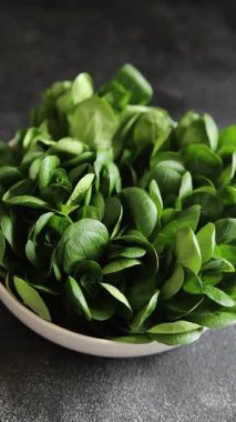 Mung fasulyesi salata yeşil sebzeler taze gurme yemek arkaplan masa rustik gıda üst görünüm uzay keto ve paleo diyet vejetaryen ve vejetaryen gıda