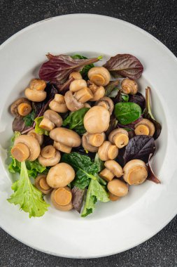 Şampiyon salatası yeşil marul konserve mantar taze gurme yemek arkaplan masa üzerinde rustik gıda üst görünüm fotokopi uzay keto ve paleo diyet vejetaryen ve vegan gıda