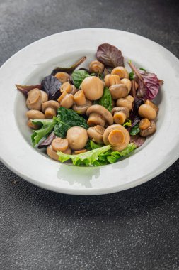 Şampiyon salatası yeşil marul konserve mantar taze gurme yemek arkaplan masa üzerinde rustik gıda üst görünüm fotokopi uzay keto ve paleo diyet vejetaryen ve vegan gıda