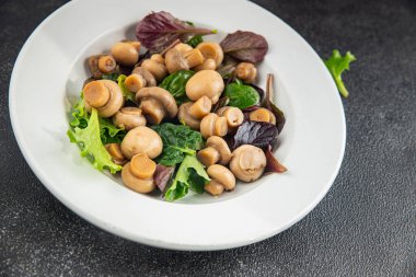 Şampiyon salatası yeşil marul konserve mantar taze gurme yemek arkaplan masa üzerinde rustik gıda üst görünüm fotokopi uzay keto ve paleo diyet vejetaryen ve vegan gıda