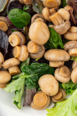 Şampiyon salatası yeşil marul konserve mantar taze gurme yemek arkaplan masa üzerinde rustik gıda üst görünüm fotokopi uzay keto ve paleo diyet vejetaryen ve vegan gıda