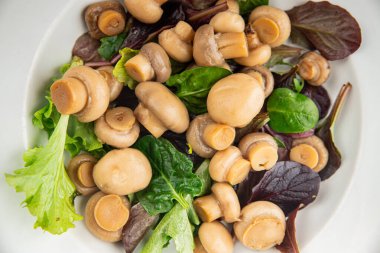 Şampiyon salatası yeşil marul konserve mantar taze gurme yemek arkaplan masa üzerinde rustik gıda üst görünüm fotokopi uzay keto ve paleo diyet vejetaryen ve vegan gıda