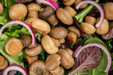 Şampiyon salatası yeşil marul konserve mantar taze gurme yemek arkaplan masa üzerinde rustik gıda üst görünüm fotokopi uzay keto ve paleo diyet vejetaryen ve vegan gıda