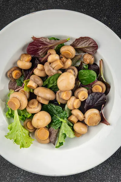 Şampiyon salatası yeşil marul konserve mantar taze gurme yemek arkaplan masa üzerinde rustik gıda üst görünüm fotokopi uzay keto ve paleo diyet vejetaryen ve vegan gıda