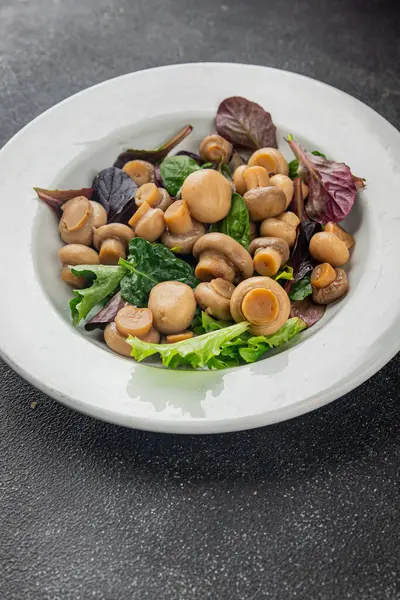 Şampiyon salatası yeşil marul konserve mantar taze gurme yemek arkaplan masa üzerinde rustik gıda üst görünüm fotokopi uzay keto ve paleo diyet vejetaryen ve vegan gıda