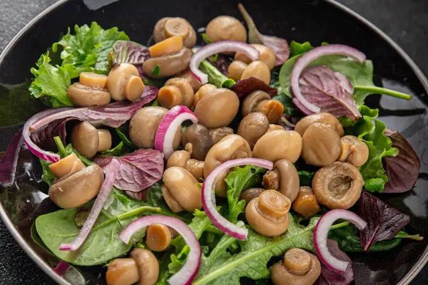 Şampiyon salatası yeşil marul konserve mantar taze gurme yemek arkaplan masa üzerinde rustik gıda üst görünüm fotokopi uzay keto ve paleo diyet vejetaryen ve vegan gıda