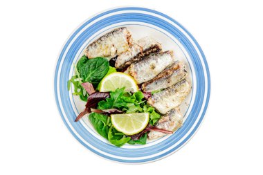 Sardalya konservesi konservesi taze gurme yemek arkaplanı masa rustik gıda üst görünümü fotokopi alanı pesseeter diyet