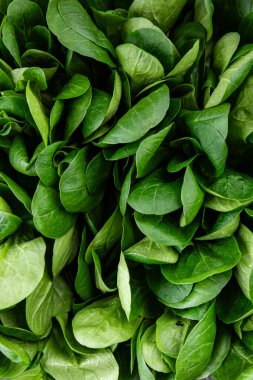 Mung fasulyesi salata yeşil sebzeler taze gurme yemek arkaplan masa rustik gıda üst görünüm uzay keto ve paleo diyet vejetaryen ve vejetaryen gıda