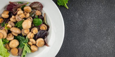 Mantar salatası yeşil marul konserve şampiyon mantarı taze gurme yemek arkaplanı masa rustik yemek üst görünüm fotokopi alanı